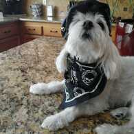 Fundraising Page: Richard Subia